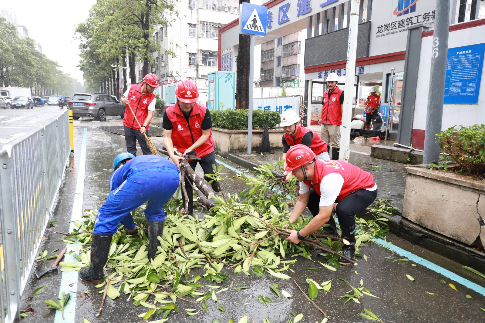 IMG_8187.jpg IMG_8187.jpg